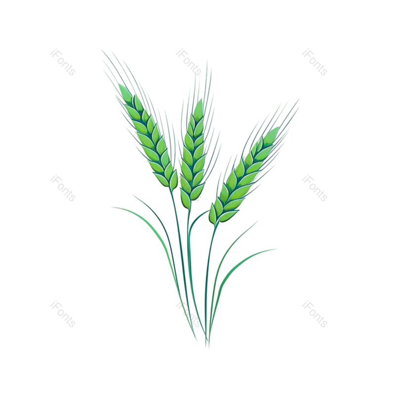 芒种图片,元素元素,麦子PNG,丰收免抠素材